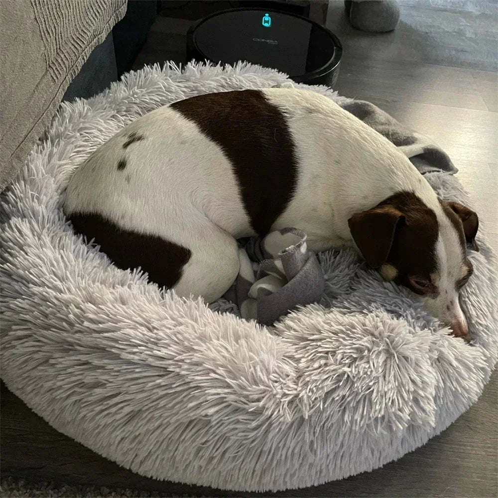 Soft Calming Dog Bed